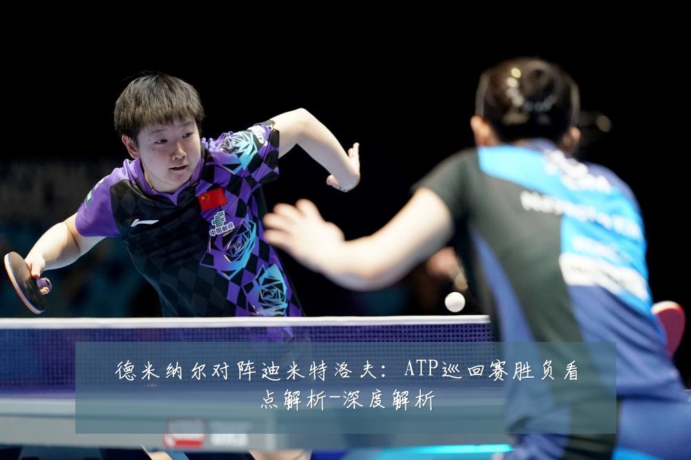 德米纳尔对阵迪米特洛夫:ATP巡回赛胜负看点解析-深度解析